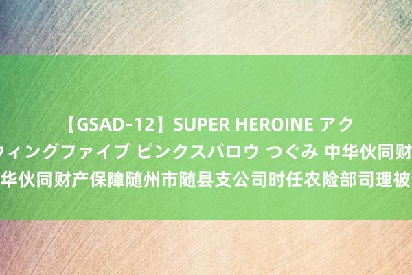 【GSAD-12】SUPER HEROINE アクションウォーズ 超翼戦隊ウィングファイブ ピンクスパロウ つぐみ 中华伙同财产保障随州市随县支公司时任农险部司理被告诫并罚金1万元