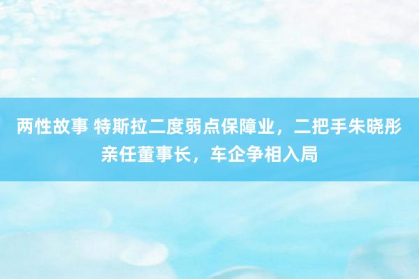 两性故事 特斯拉二度弱点保障业，二把手朱晓彤亲任董事长，车企争相入局