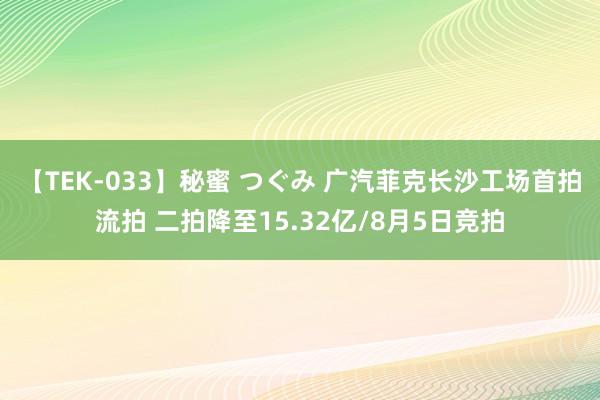 【TEK-033】秘蜜 つぐみ 广汽菲克长沙工场首拍流拍 二拍降至15.32亿/8月5日竞拍