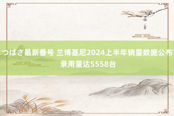 つばさ最新番号 兰博基尼2024上半年销量数据公布 录用量达5558台