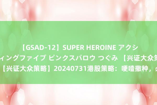 【GSAD-12】SUPER HEROINE アクションウォーズ 超翼戦隊ウィングファイブ ピンクスパロウ つぐみ 【兴证大众策略】20240731港股策略：哽噎撒种，必痛快收割