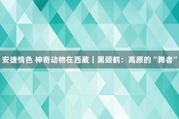 安捷情色 神奇动物在西藏｜黑颈鹤：高原的“舞者”