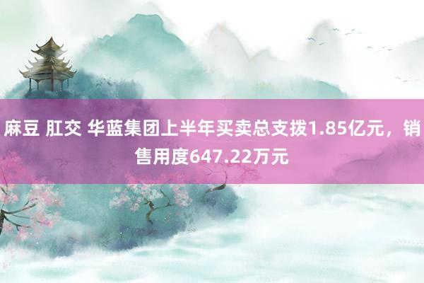 麻豆 肛交 华蓝集团上半年买卖总支拨1.85亿元，销售用度647.22万元