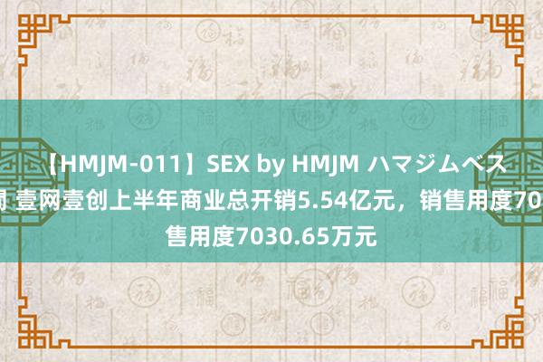 【HMJM-011】SEX by HMJM ハマジムベスト09 6時間 壹网壹创上半年商业总开销5.54亿元，销售用度7030.65万元