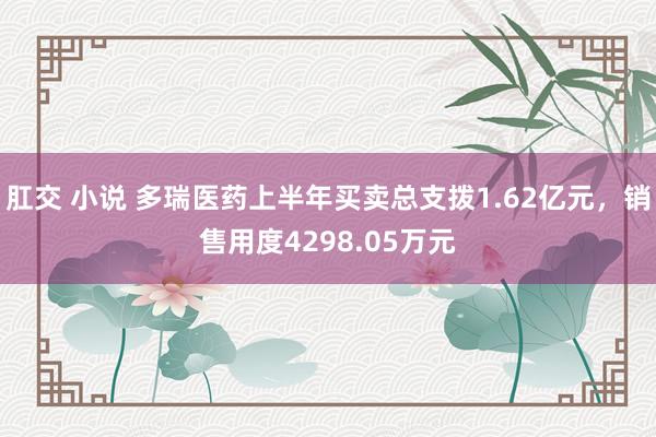 肛交 小说 多瑞医药上半年买卖总支拨1.62亿元，销售用度4298.05万元