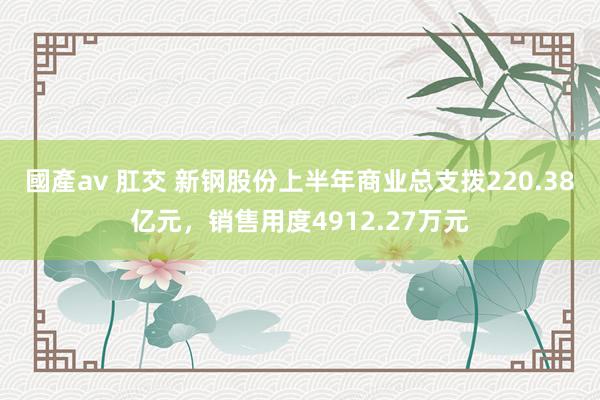 國產av 肛交 新钢股份上半年商业总支拨220.38亿元，销售用度4912.27万元