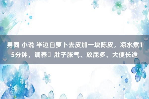 男同 小说 半边白萝卜去皮加一块陈皮，凉水煮15分钟，调养​肚子胀气、放屁多、大便长途