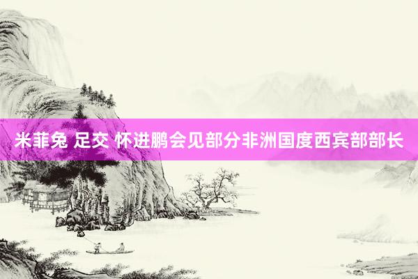 米菲兔 足交 怀进鹏会见部分非洲国度西宾部部长