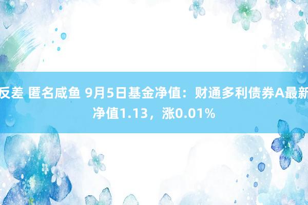 反差 匿名咸鱼 9月5日基金净值：财通多利债券A最新净值1.13，涨0.01%