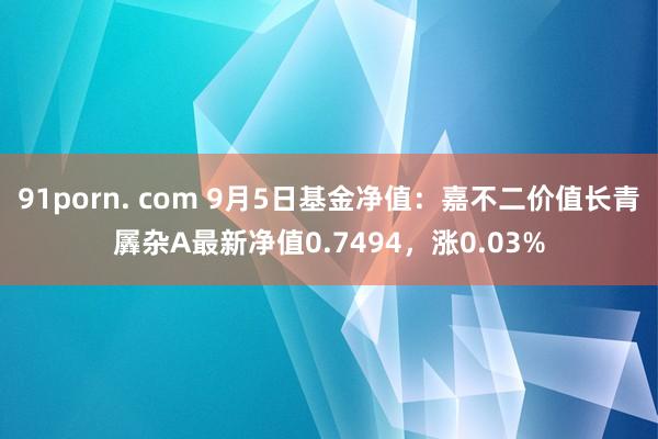 91porn. com 9月5日基金净值：嘉不二价值长青羼杂A最新净值0.7494，涨0.03%