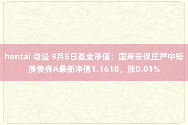 hentai 动漫 9月5日基金净值：国寿安保庄严中短债债券A最新净值1.1618，涨0.01%