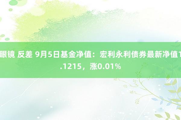 眼镜 反差 9月5日基金净值：宏利永利债券最新净值1.1215，涨0.01%