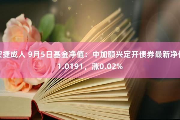 安捷成人 9月5日基金净值：中加颐兴定开债券最新净值1.0191，涨0.02%