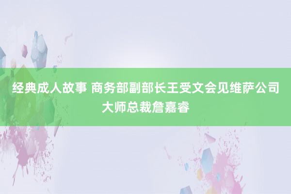 经典成人故事 商务部副部长王受文会见维萨公司大师总裁詹嘉睿